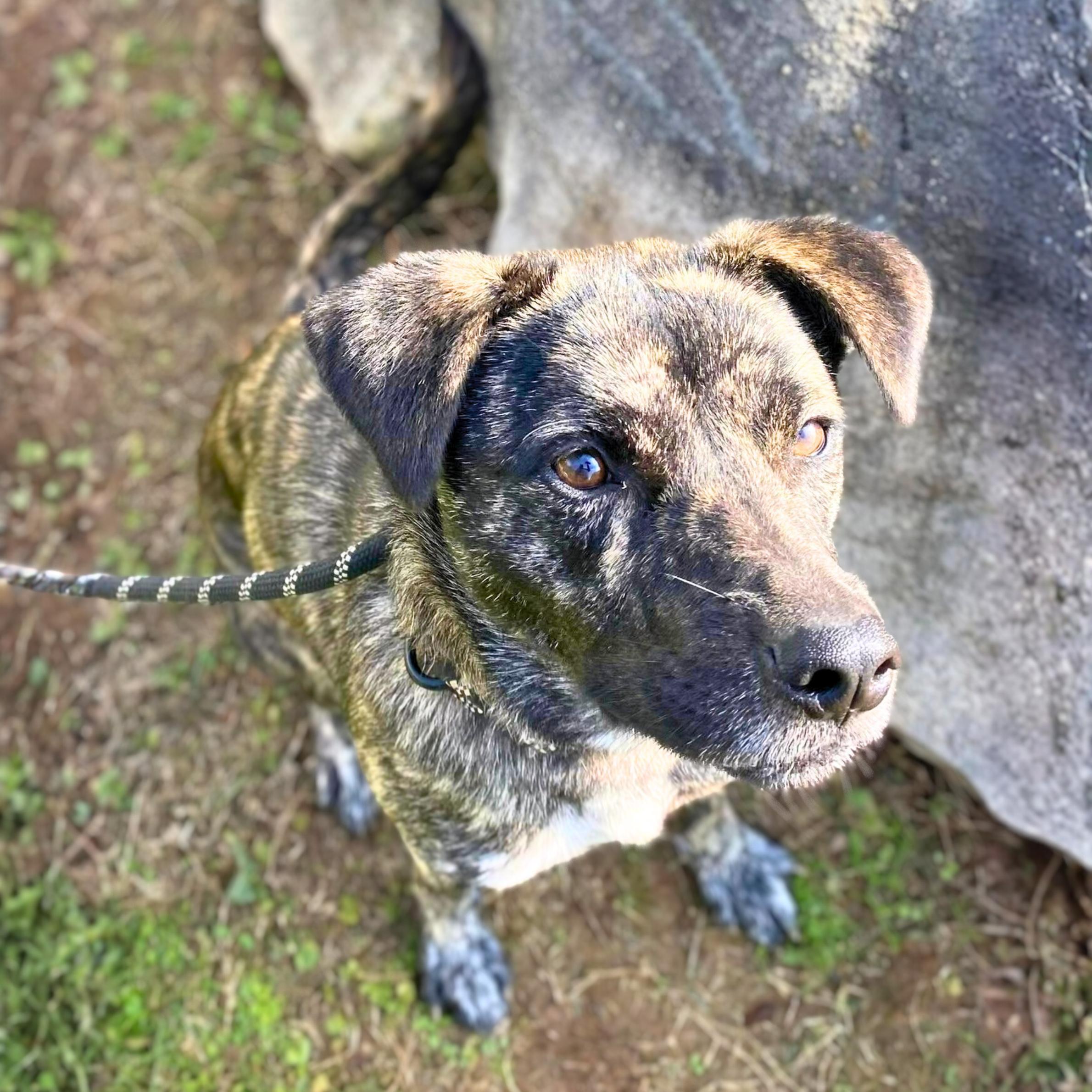 Firestarter thumbnail 2