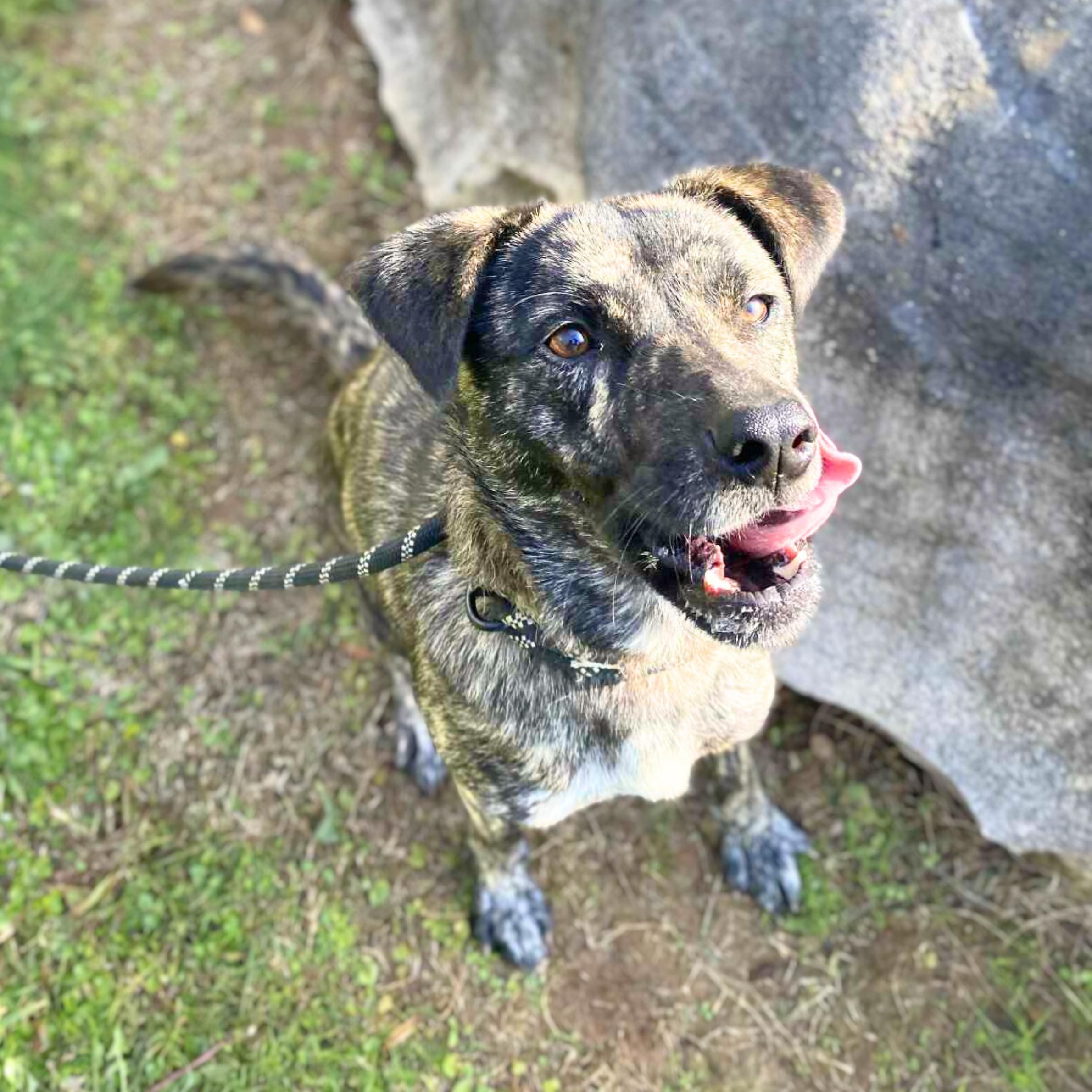 Firestarter thumbnail 3