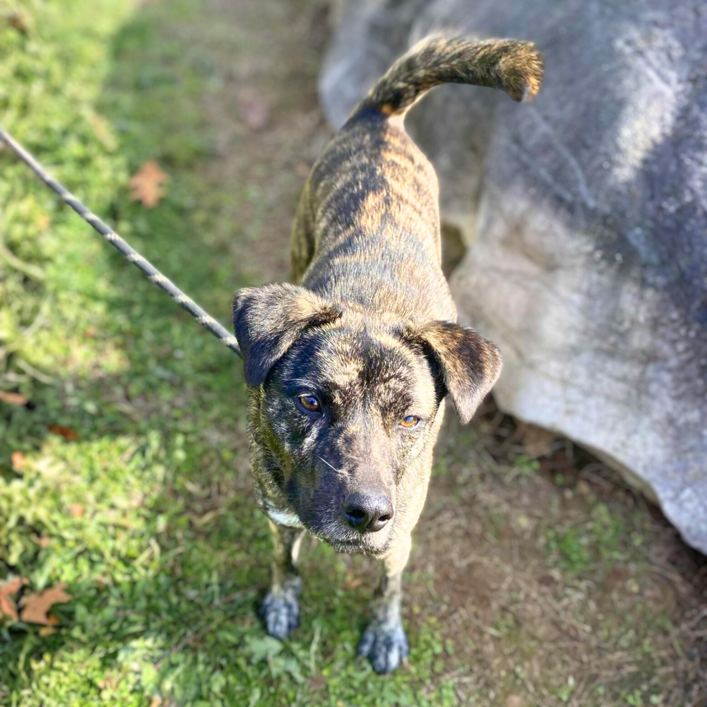 Firestarter thumbnail 4