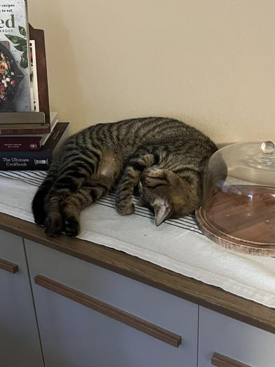 Napoleon — thumbnail 5