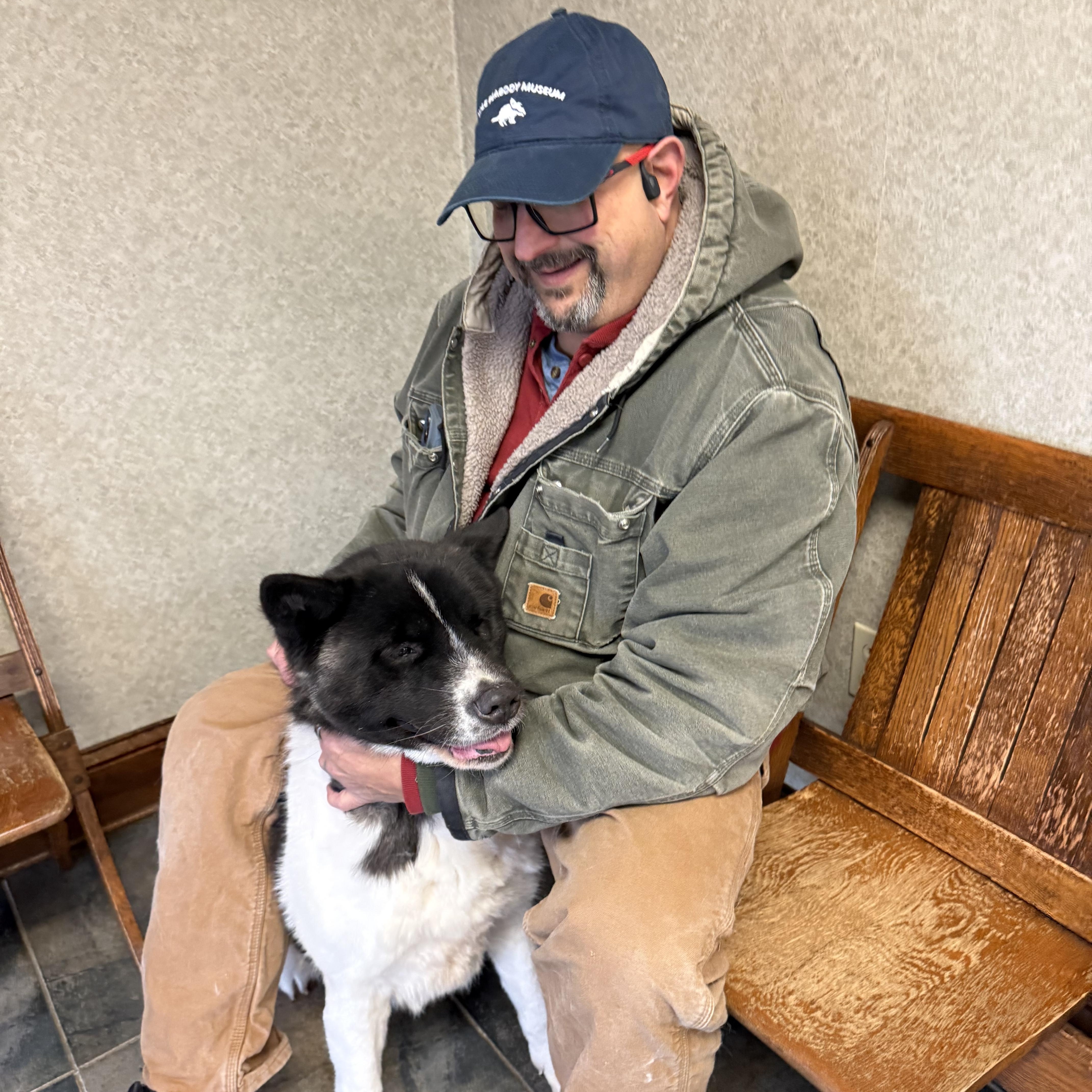 Tardy, a ADOPTABLE Akita in Toms River, NJ image 5/5