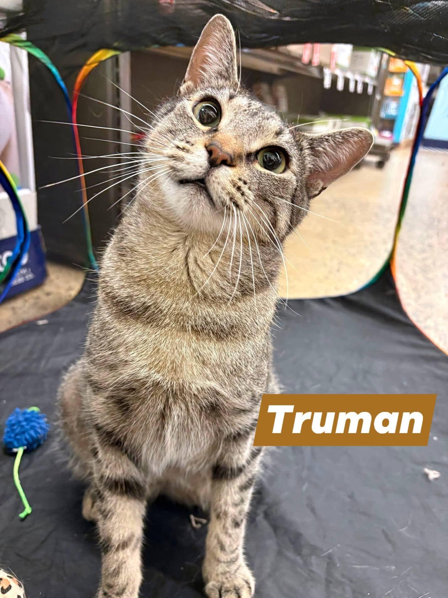Truman
