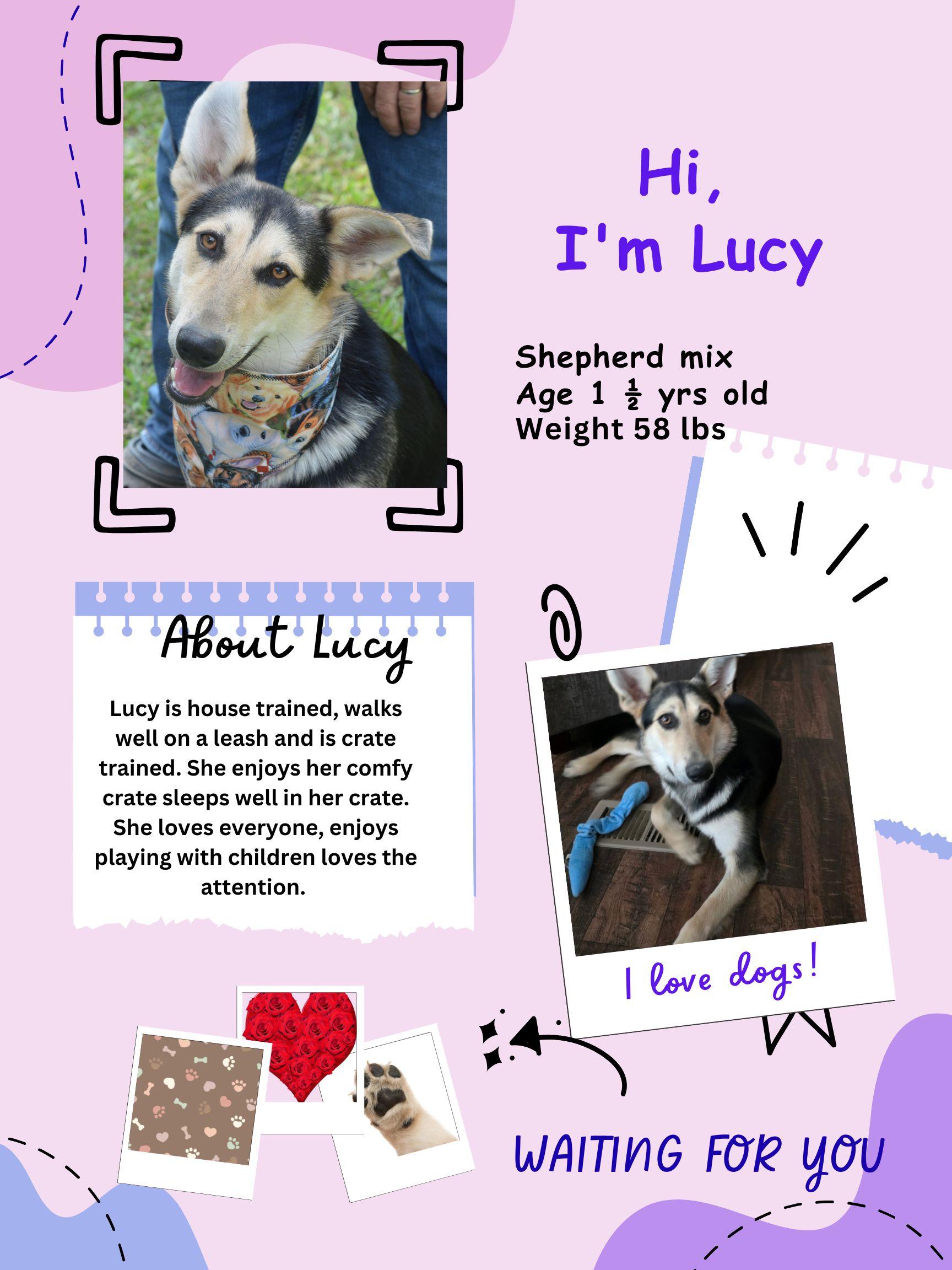 Lucy