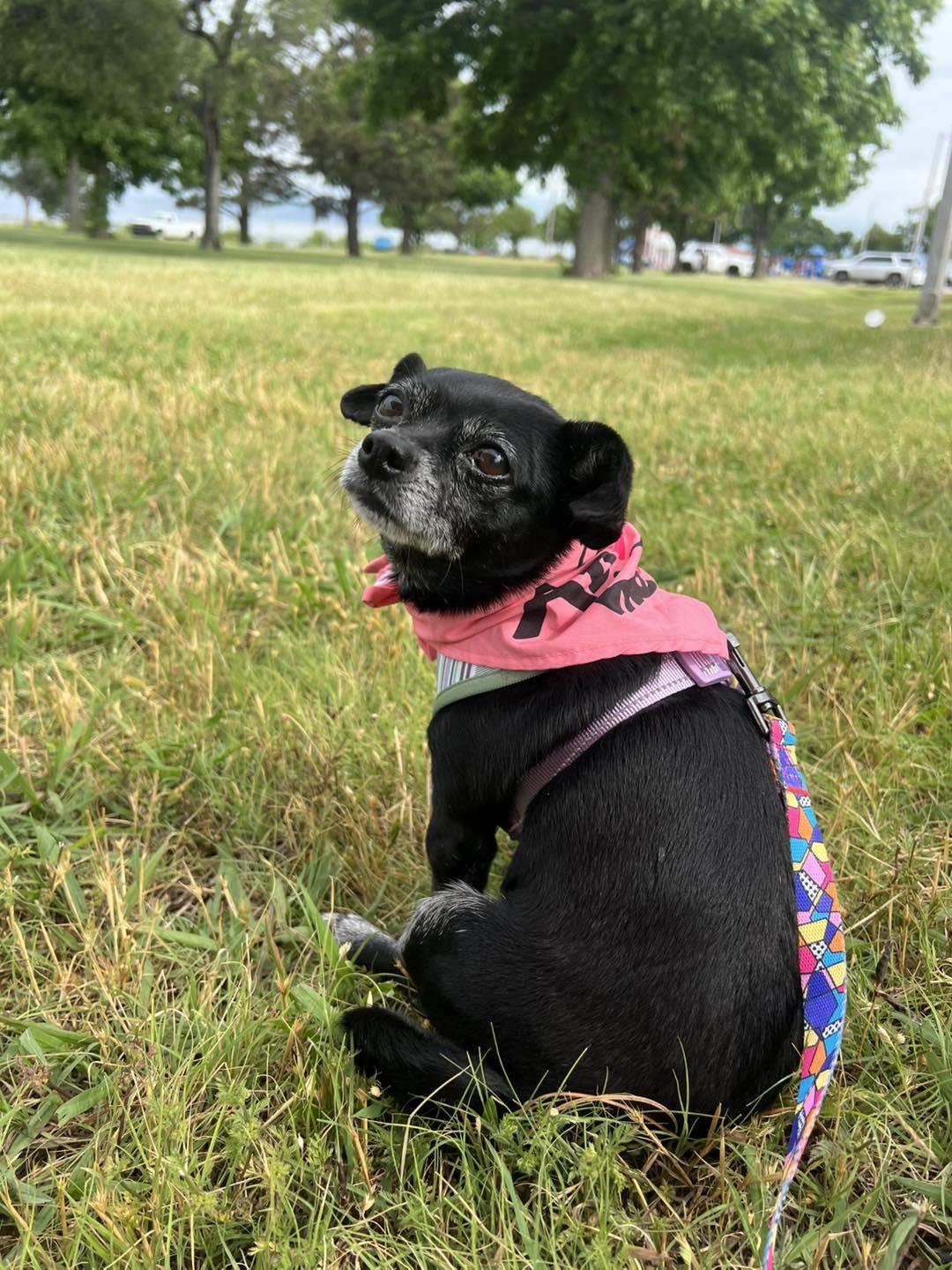 Missy photo 6
