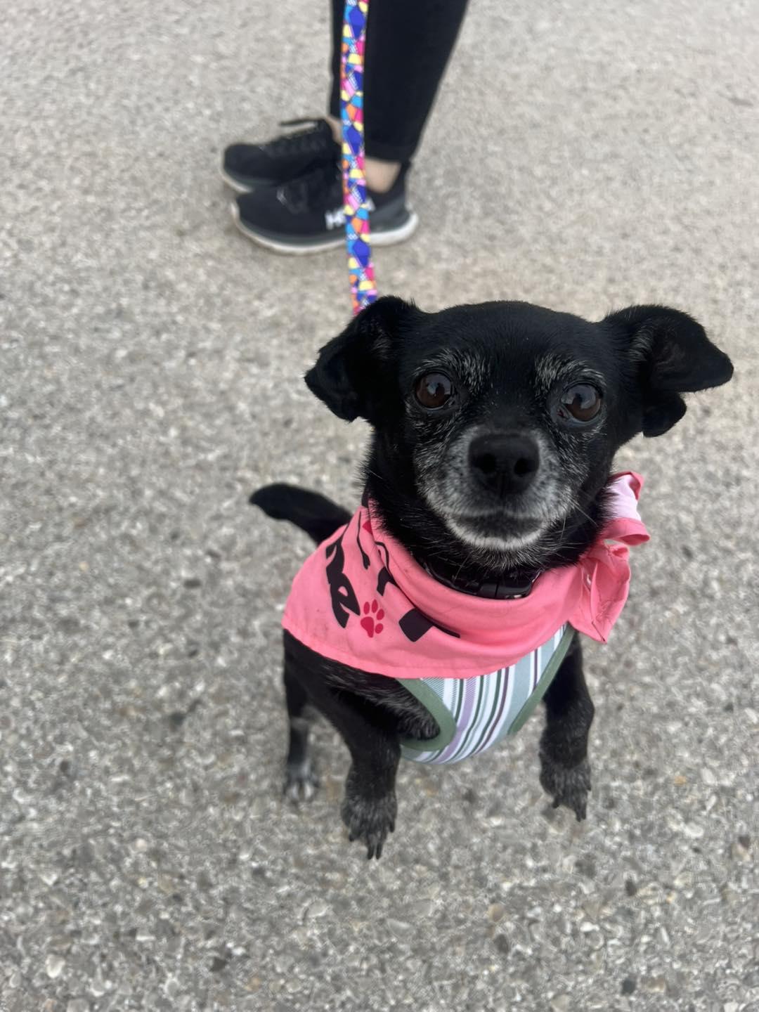 Missy photo 2
