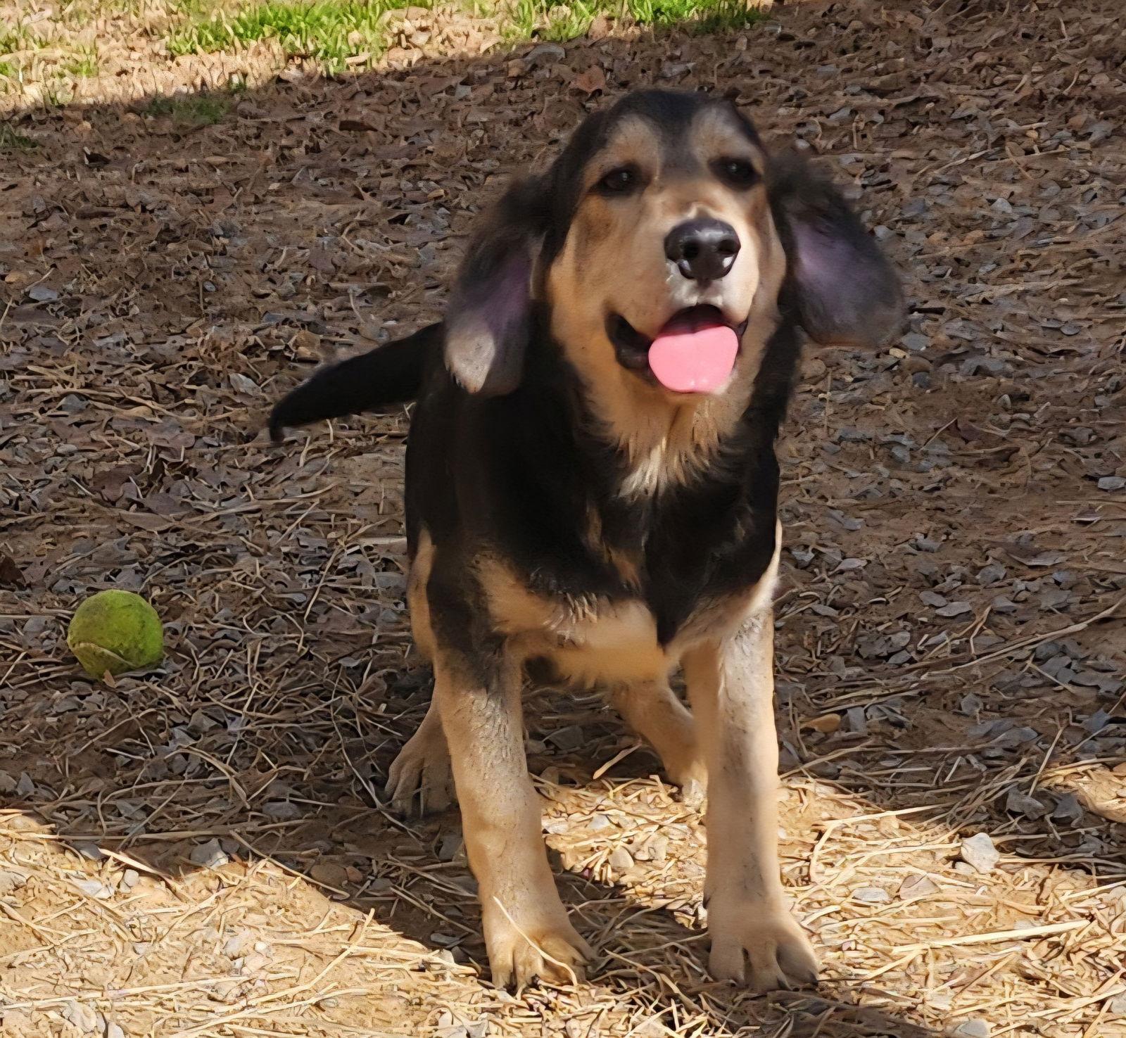 252057 Georgia — thumbnail 2