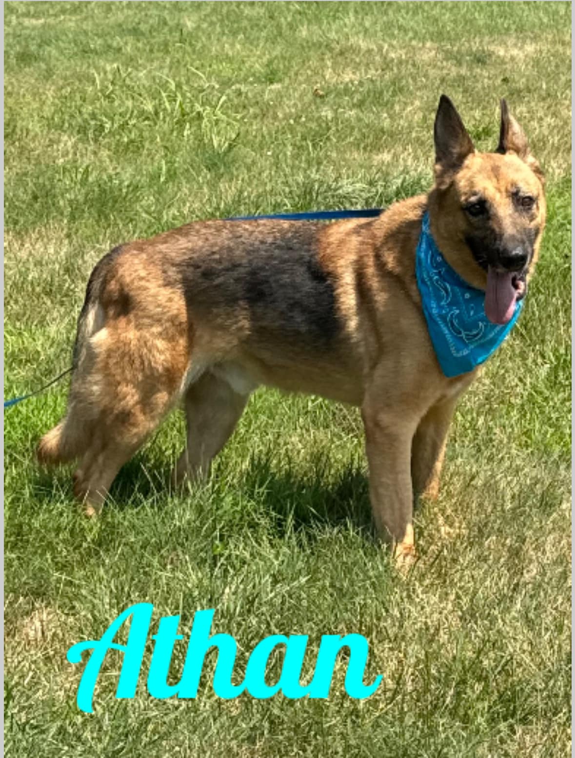 Athan, Adult Male unknown