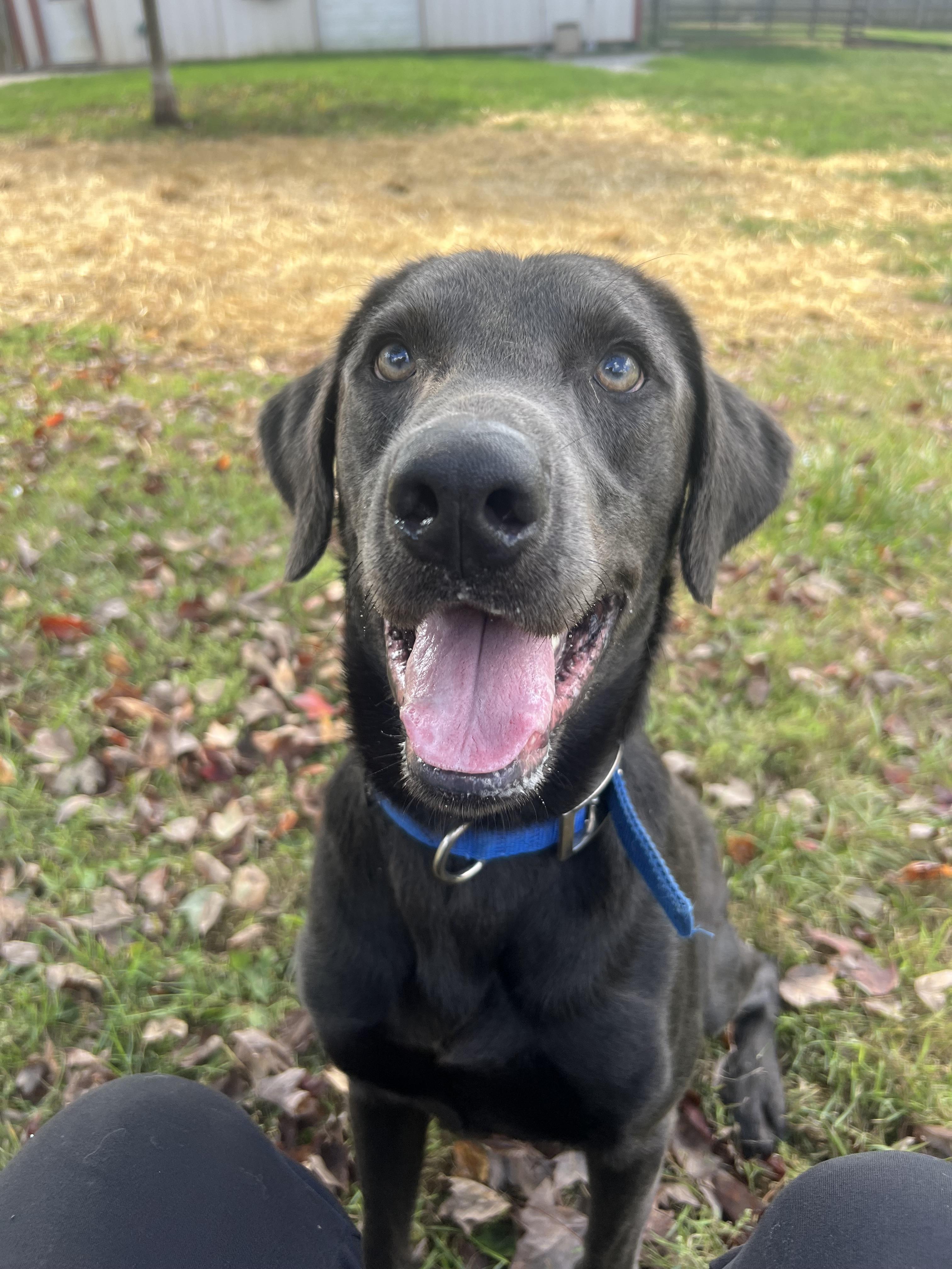 Maverick thumbnail 2