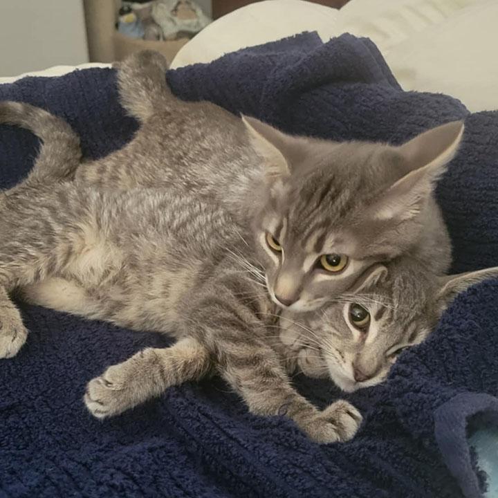 Darlington aka Mr. Wobbles