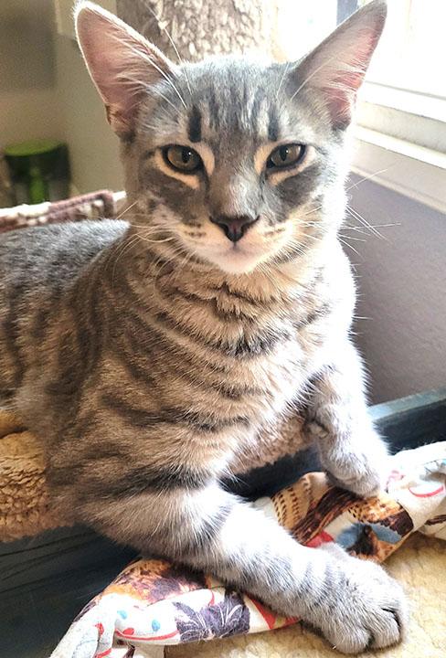 Darlington aka Mr. Wobbles