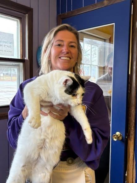 Perdita, a Adoptable Domestic Short Hair in Monticello, IL image 2/2