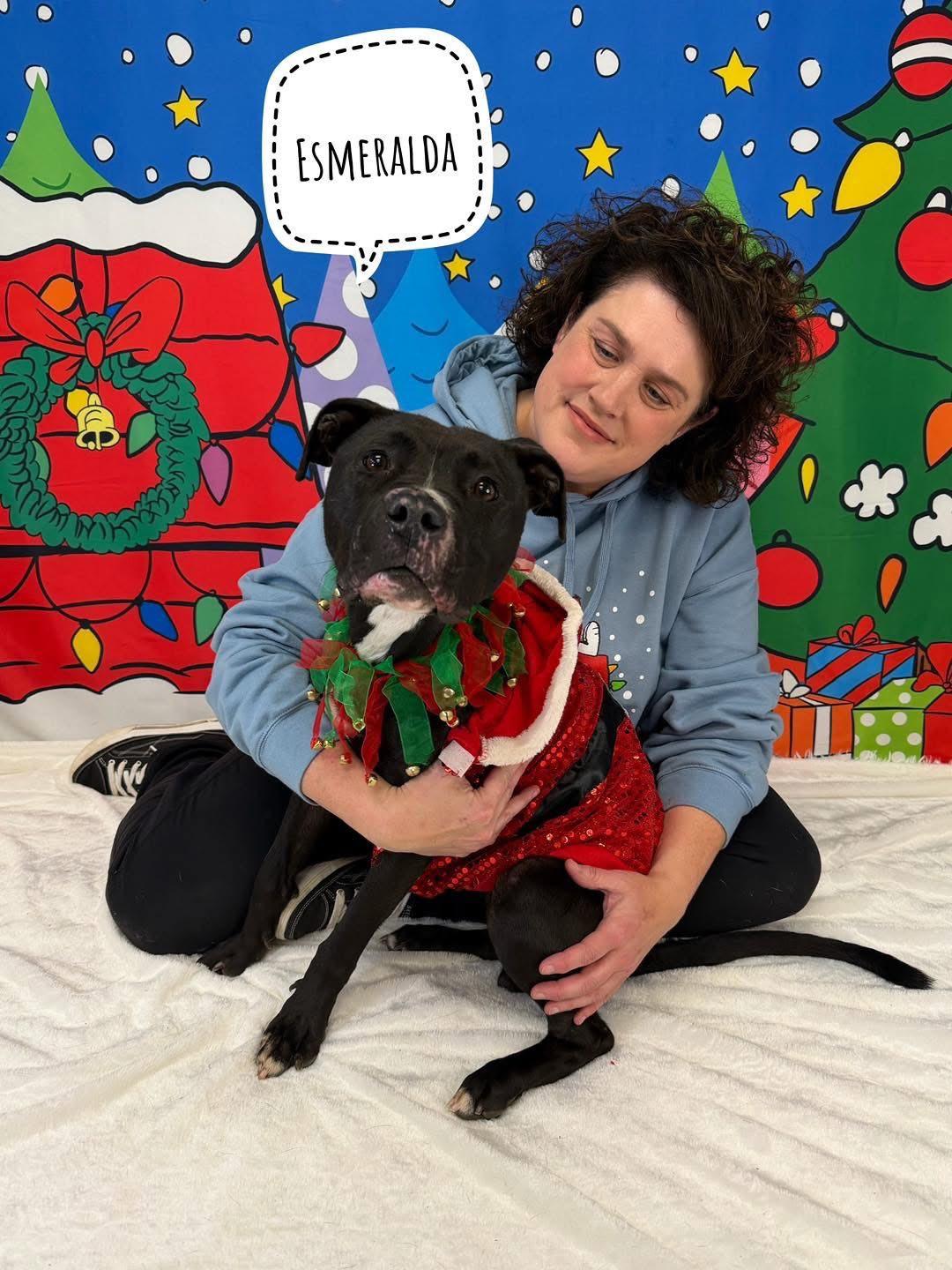 Enlarge Esmeralda, a ADOPTABLE Mixed Breed in Flint, MI image 1/1