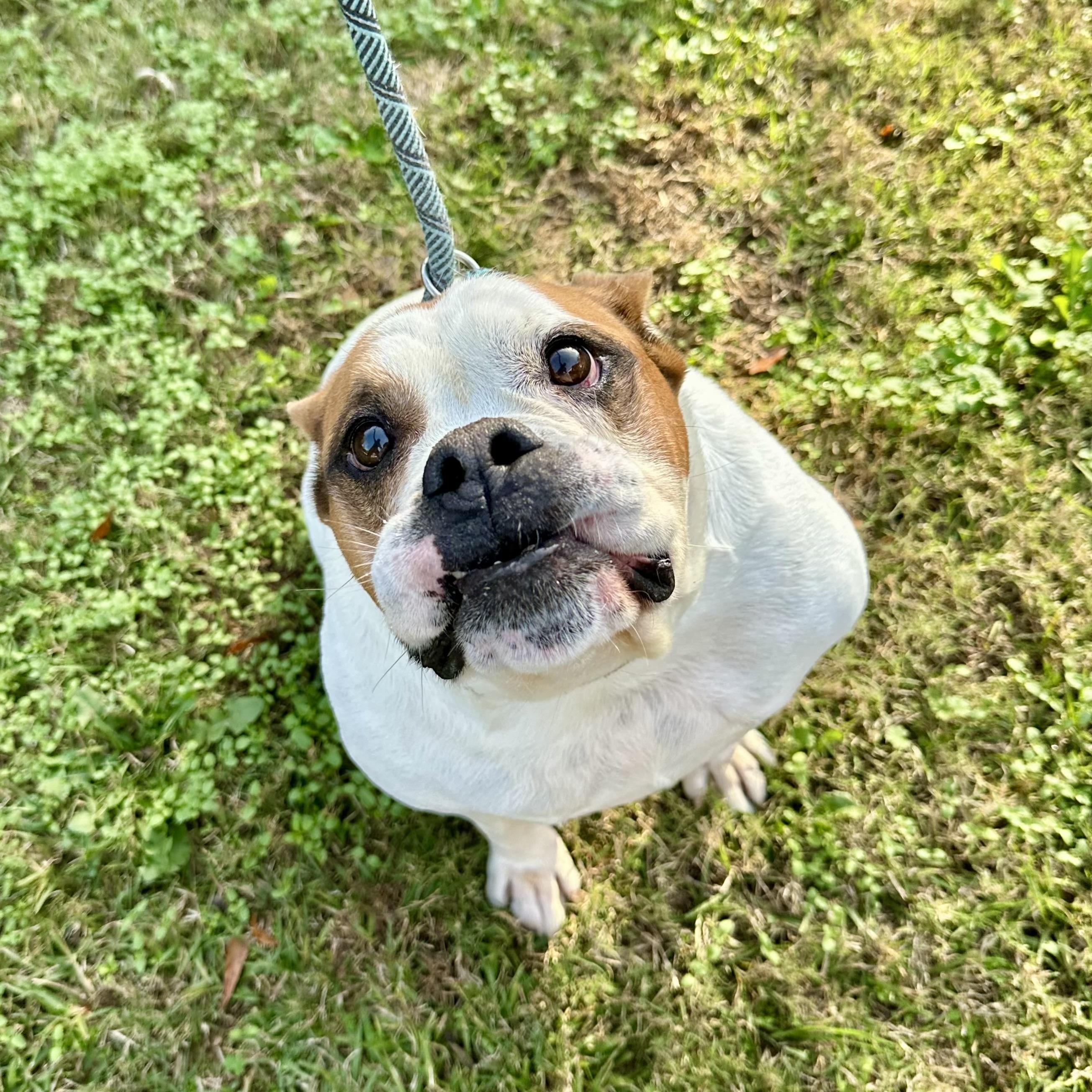 Tank — thumbnail 3