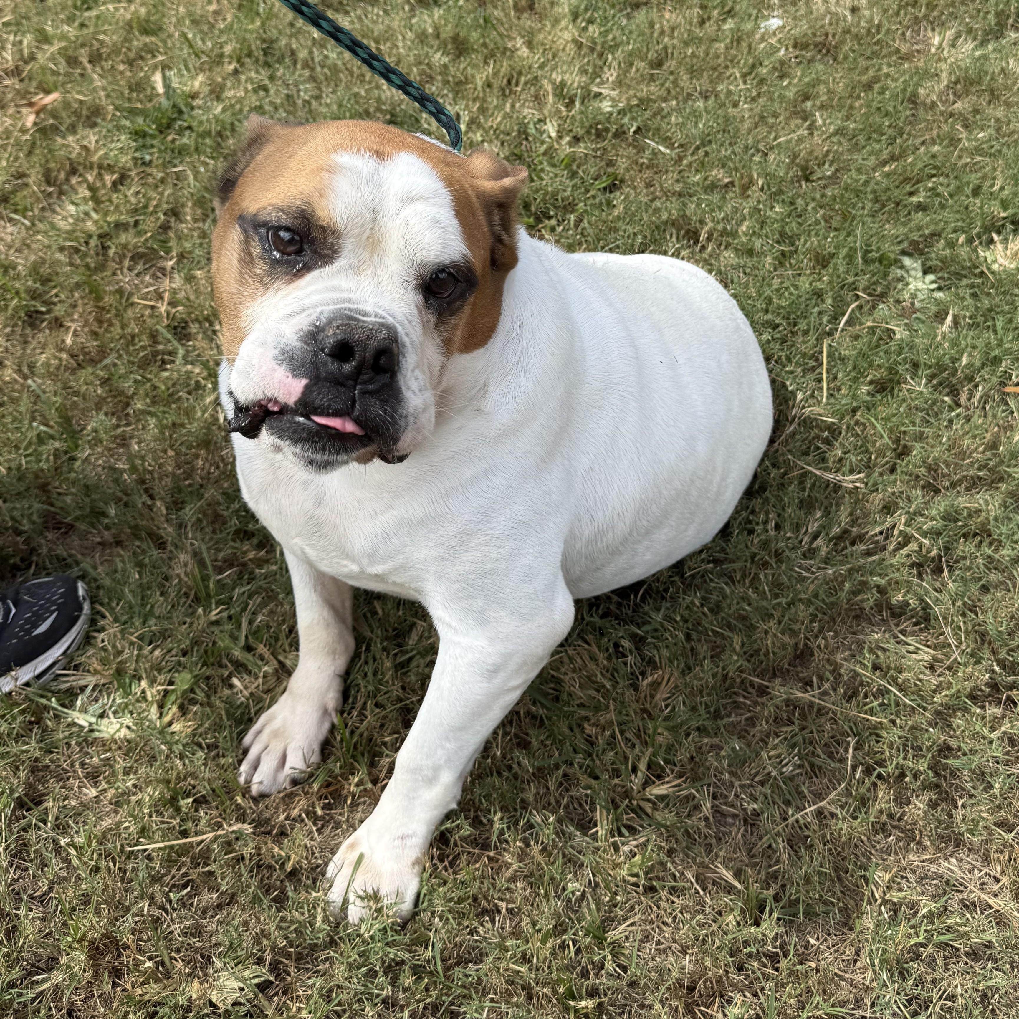 Tank — thumbnail 6