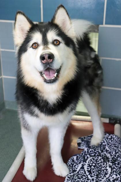 Eska
