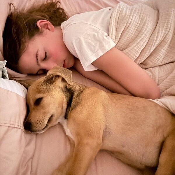 Stella Celestial — thumbnail 4