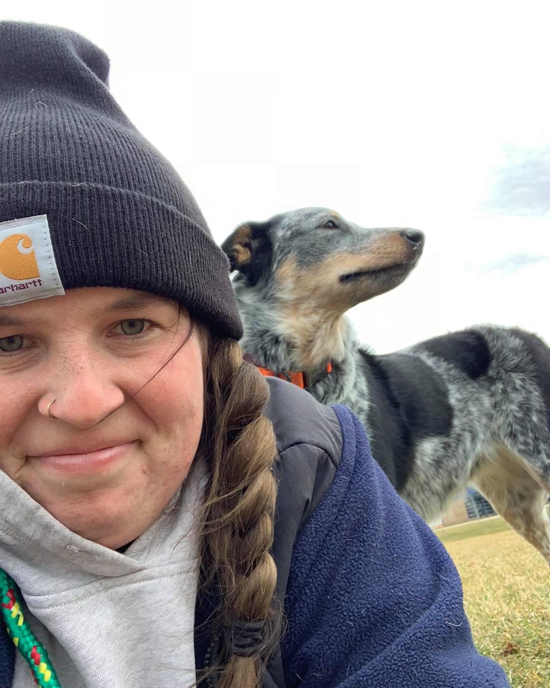 Enlarge Cooper, a Adoptable Cattle Dog in Holland, MI image 2/6