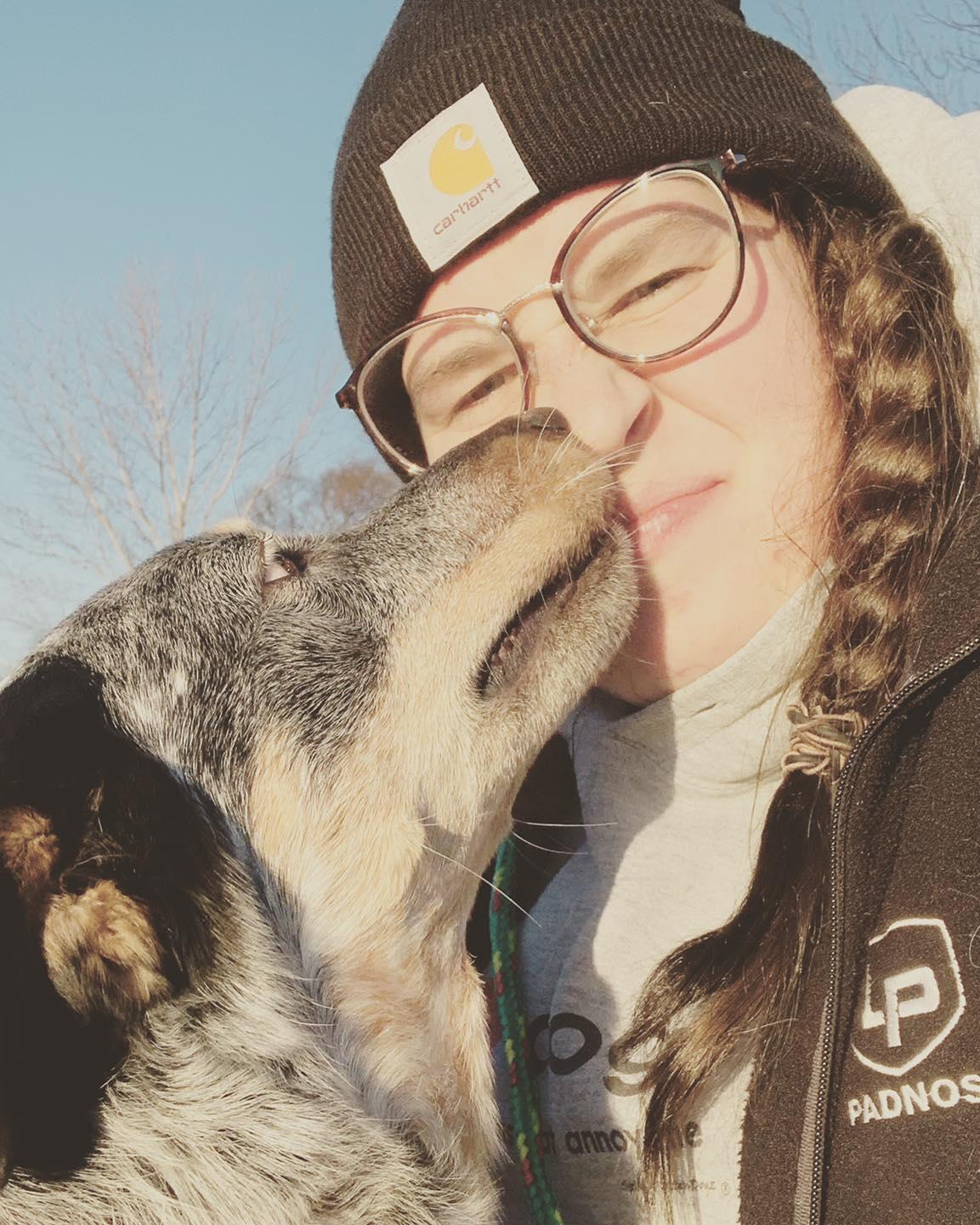 Enlarge Cooper, a Adoptable Cattle Dog in Holland, MI image 3/6