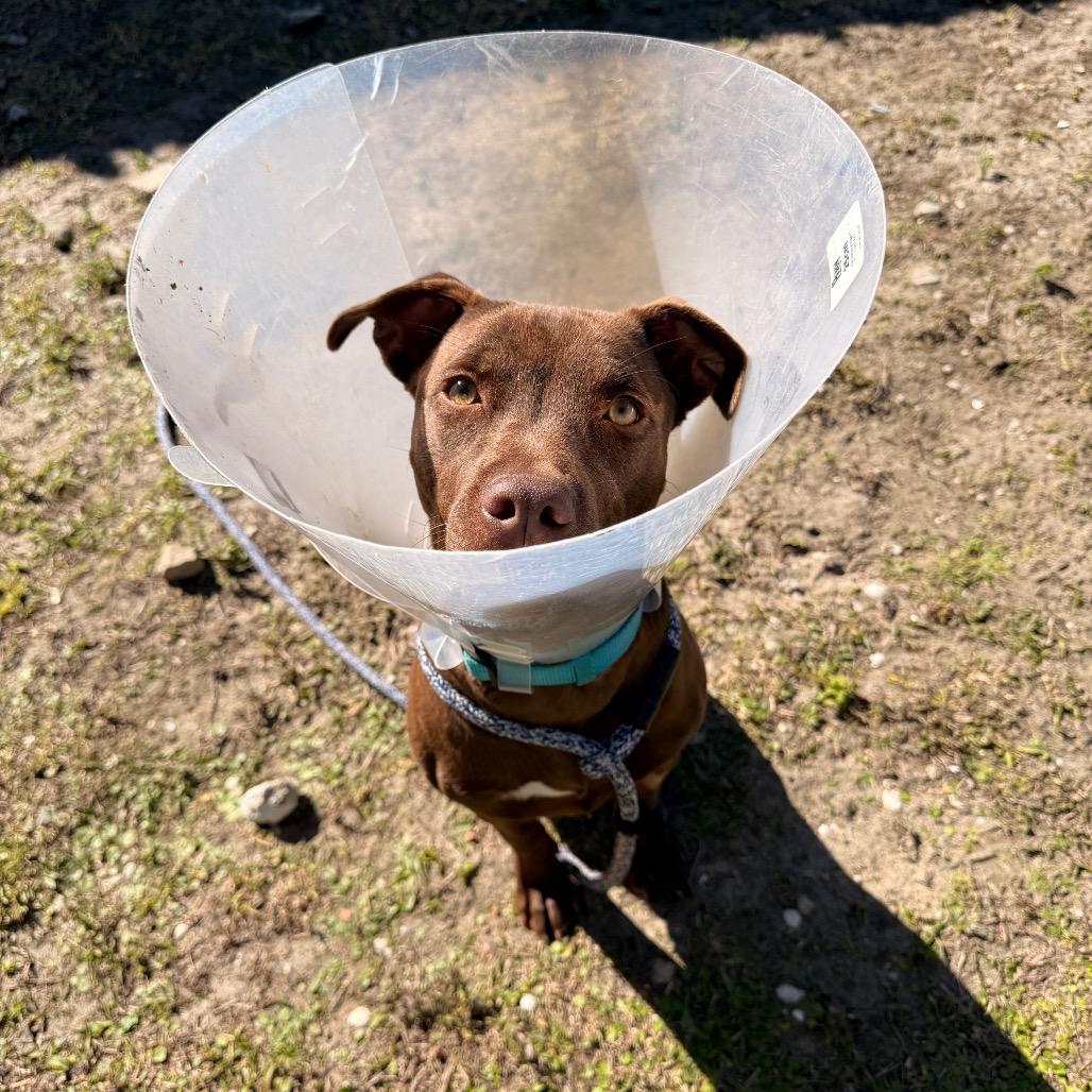 Harmony — thumbnail 2