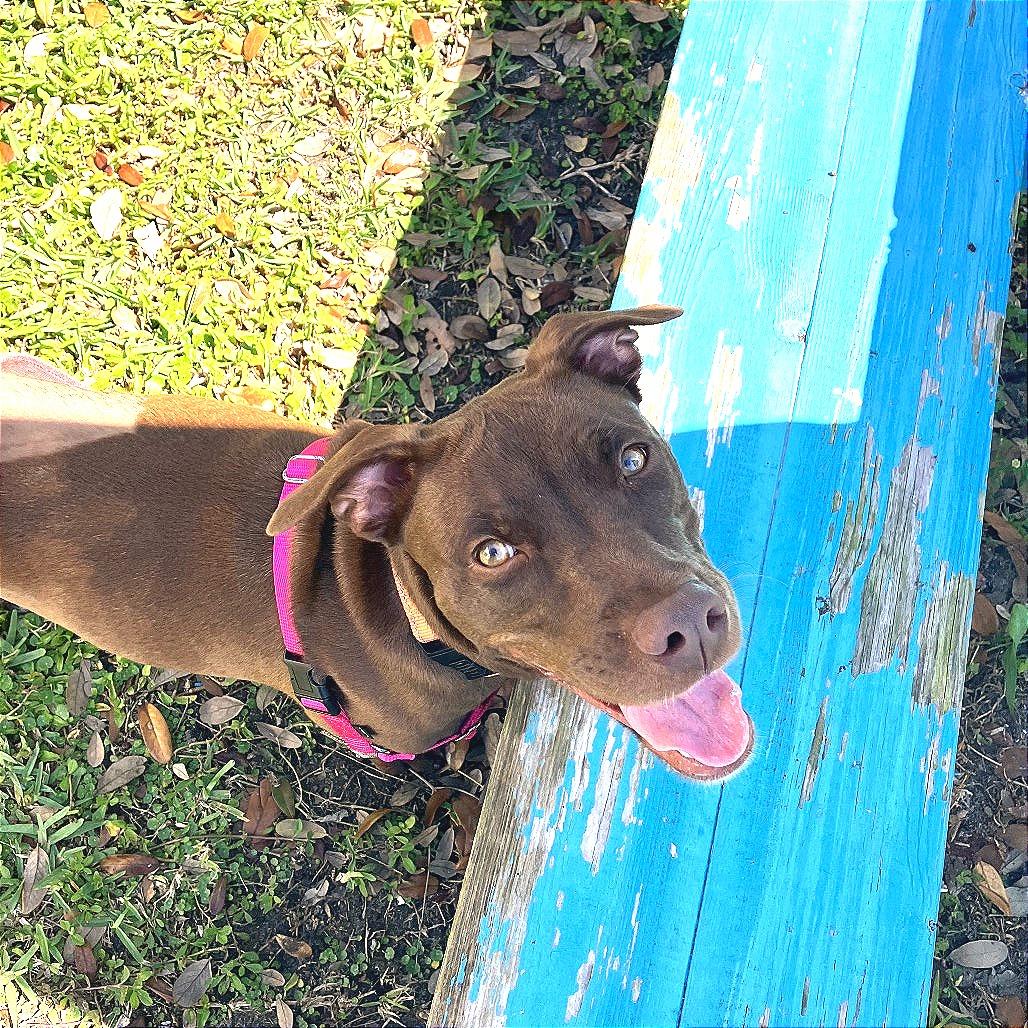 Harmony — thumbnail 3