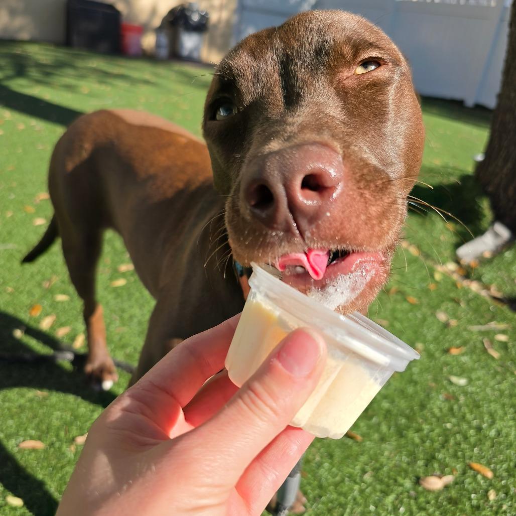 Harmony — thumbnail 5