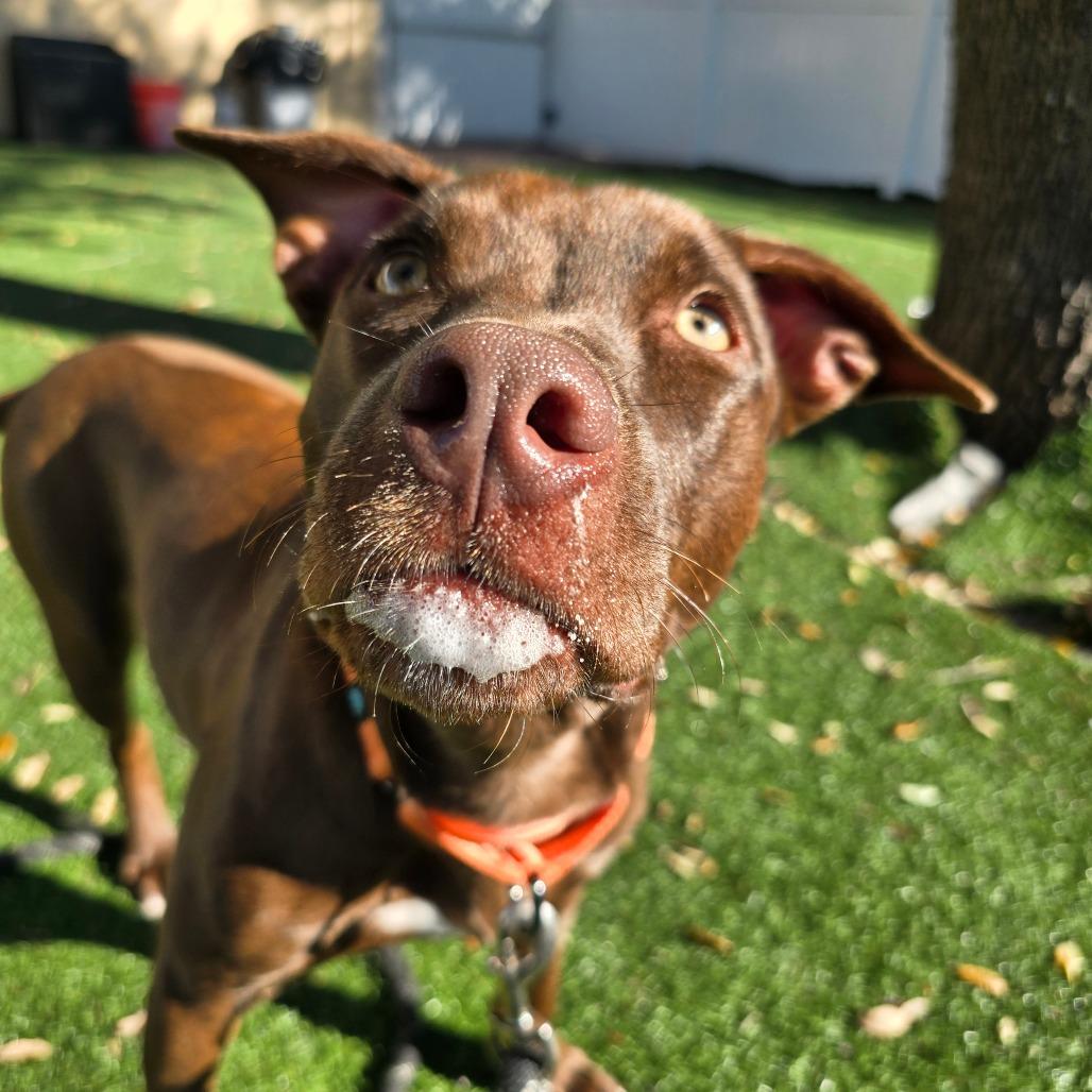 Harmony — thumbnail 6