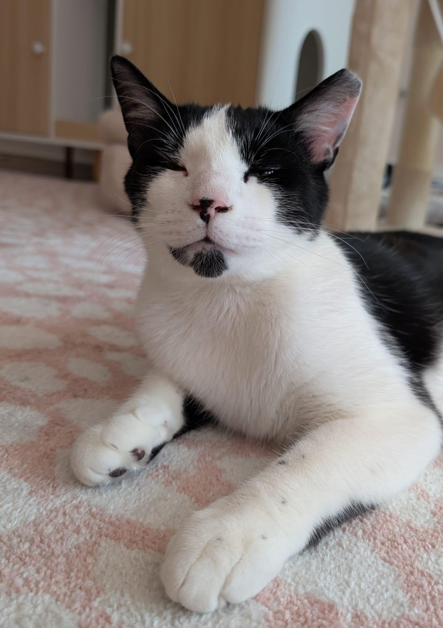 Colby thumbnail 4