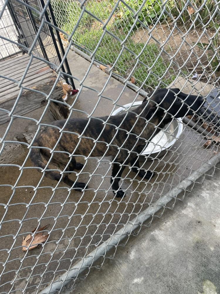 Zoey — thumbnail 2