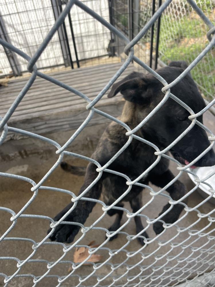 Zoey — thumbnail 4