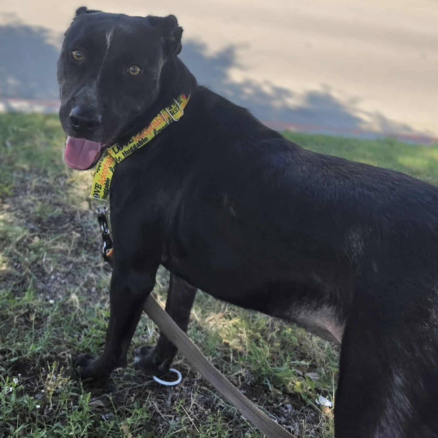 Tatiana — thumbnail 5