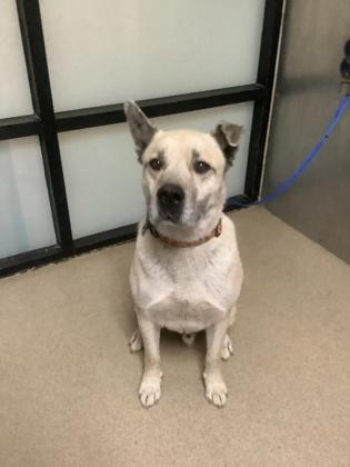 Zeus — thumbnail 2