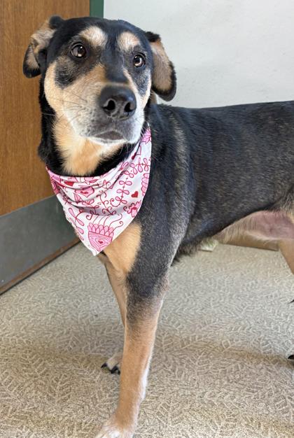 Libby — thumbnail 2