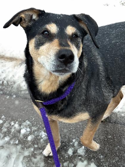 Libby — thumbnail 3