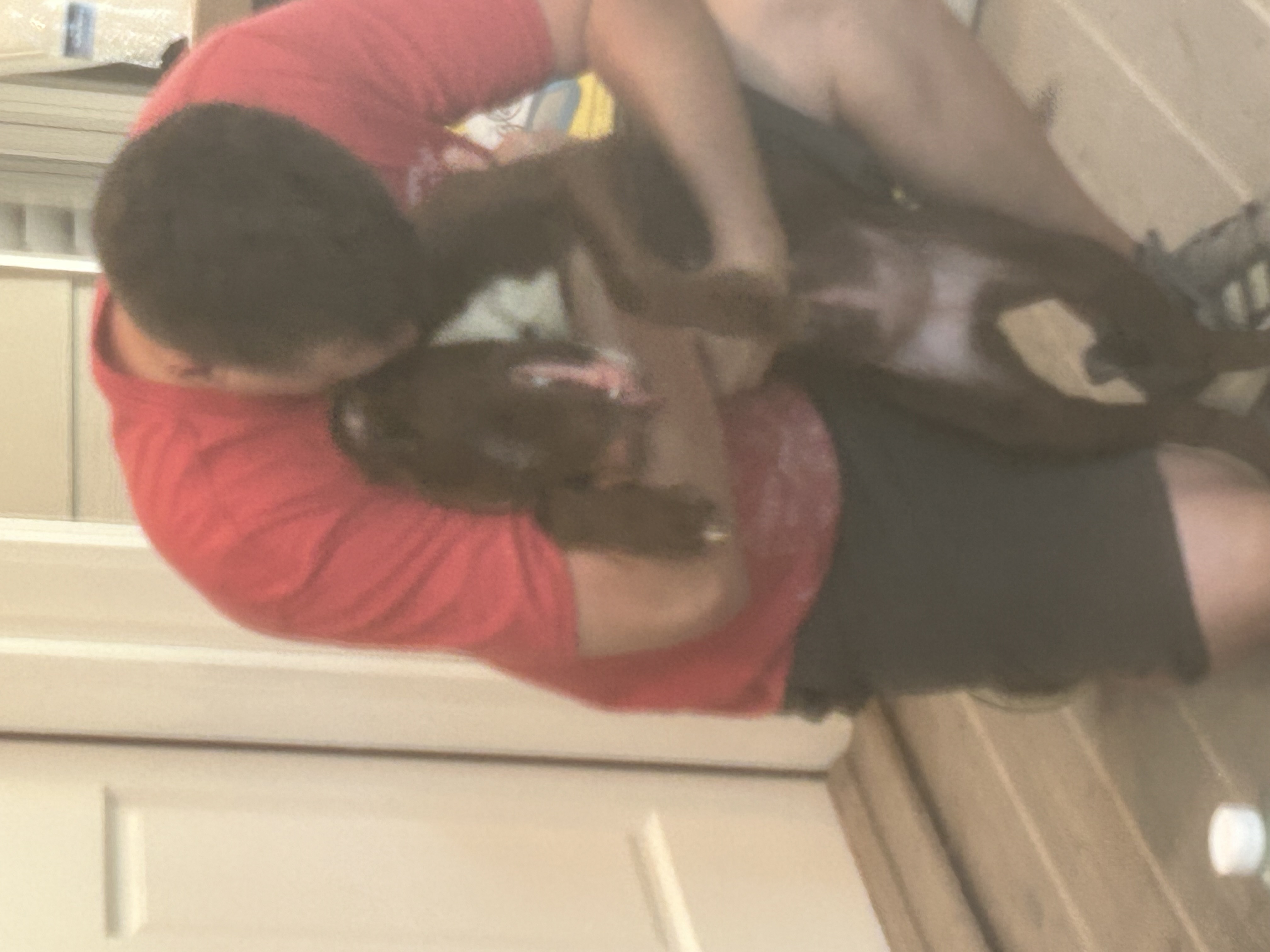 Lucky, Adoptable, Young Male Labrador Retriever.