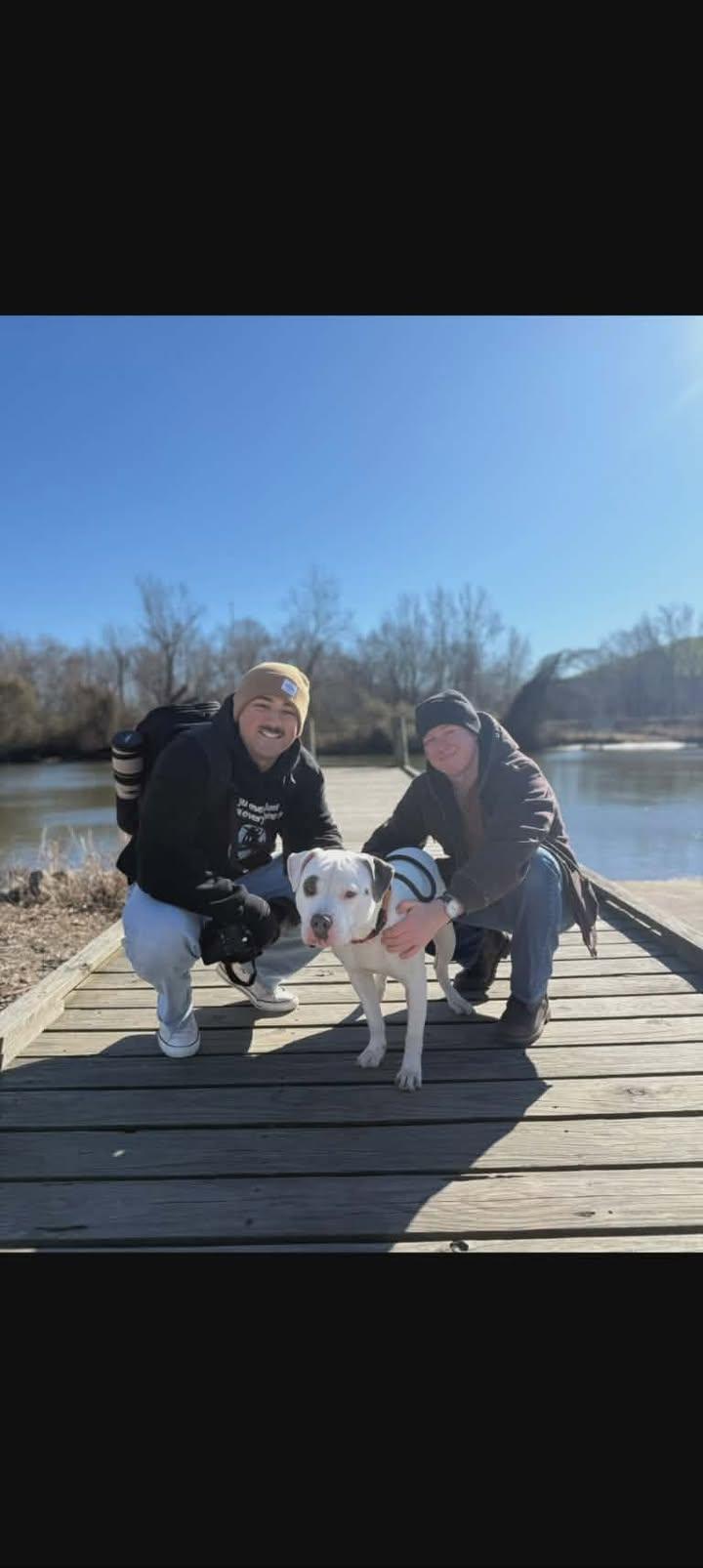 Enlarge Petey, an adopted mixed breed in Colonial Heights, VA image 3/4
