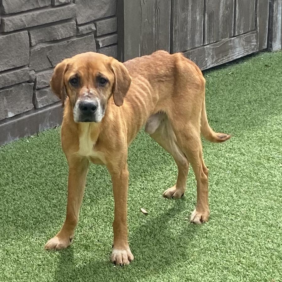 Hayden 5615 — thumbnail 2