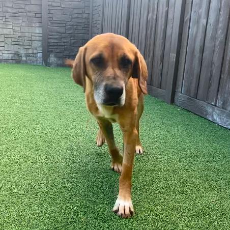 Hayden 5615 — thumbnail 3