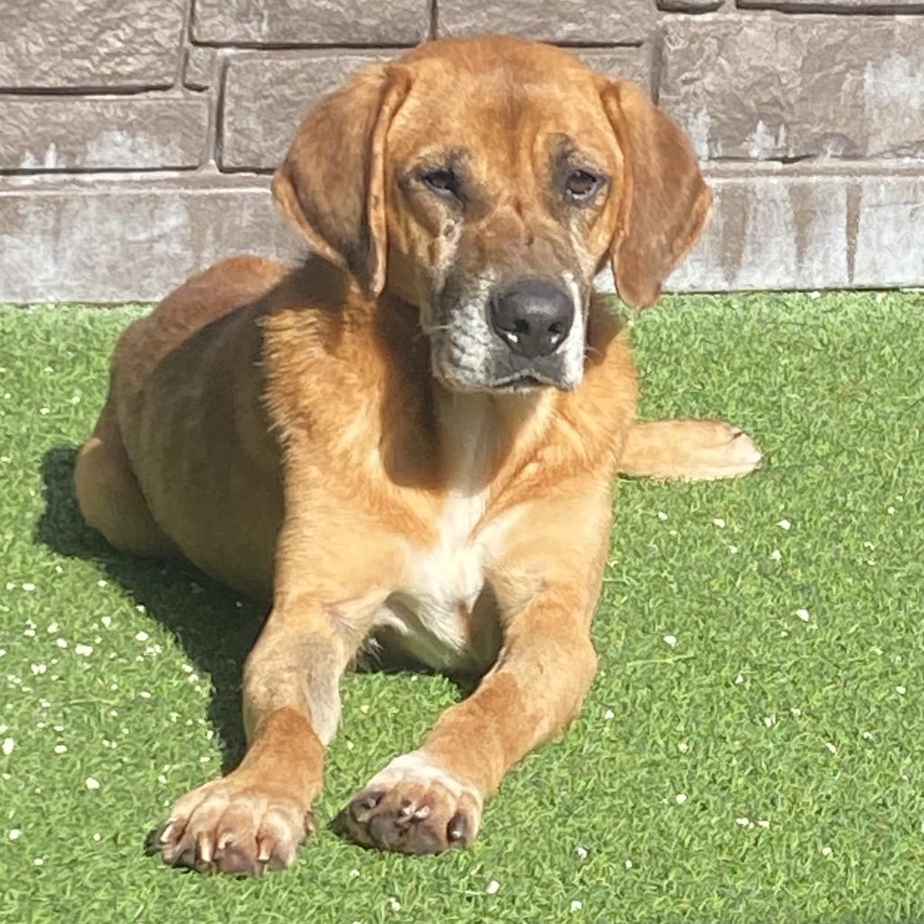 Hayden 5615 — thumbnail 4