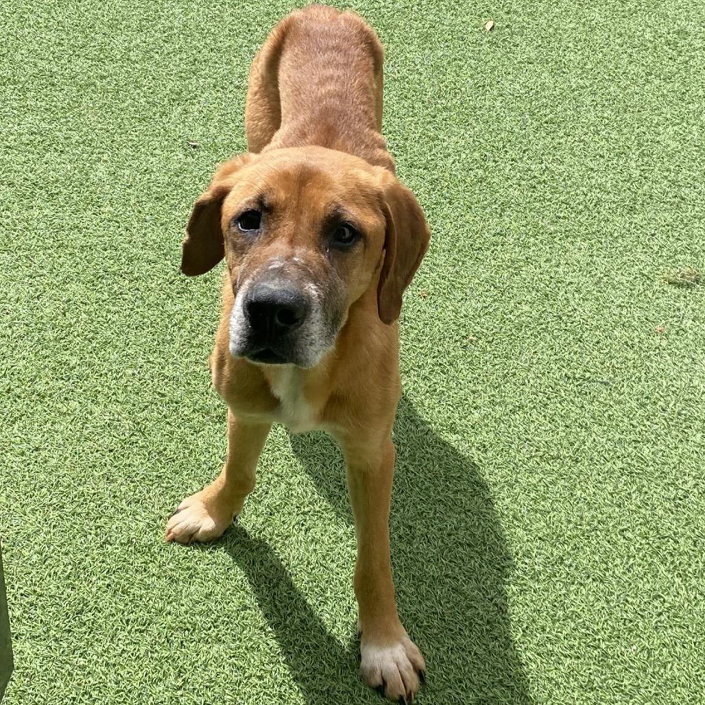 Hayden 5615 — thumbnail 5