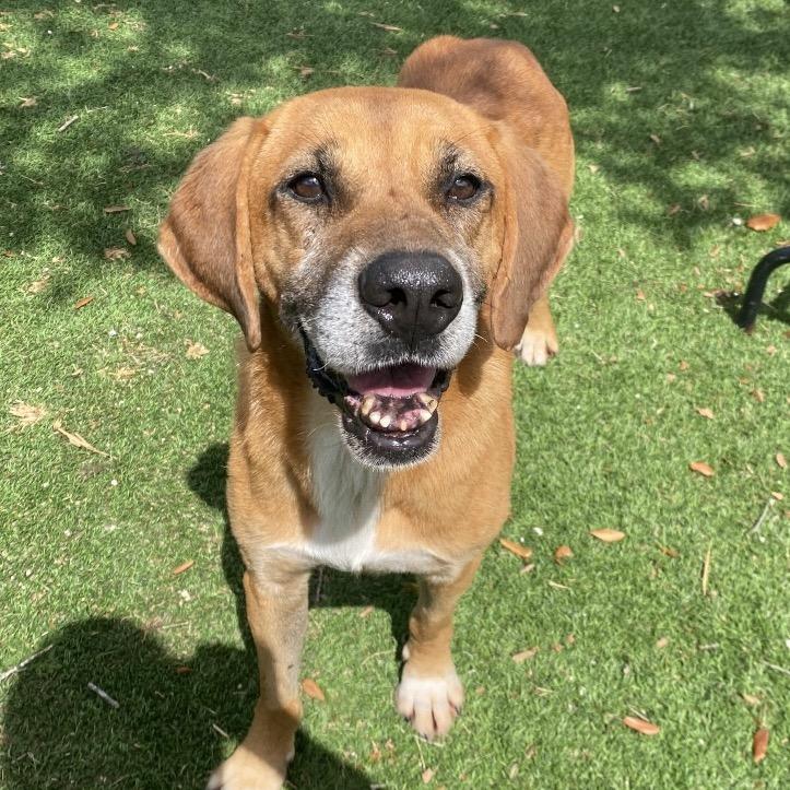 Hayden 5615 — thumbnail 6