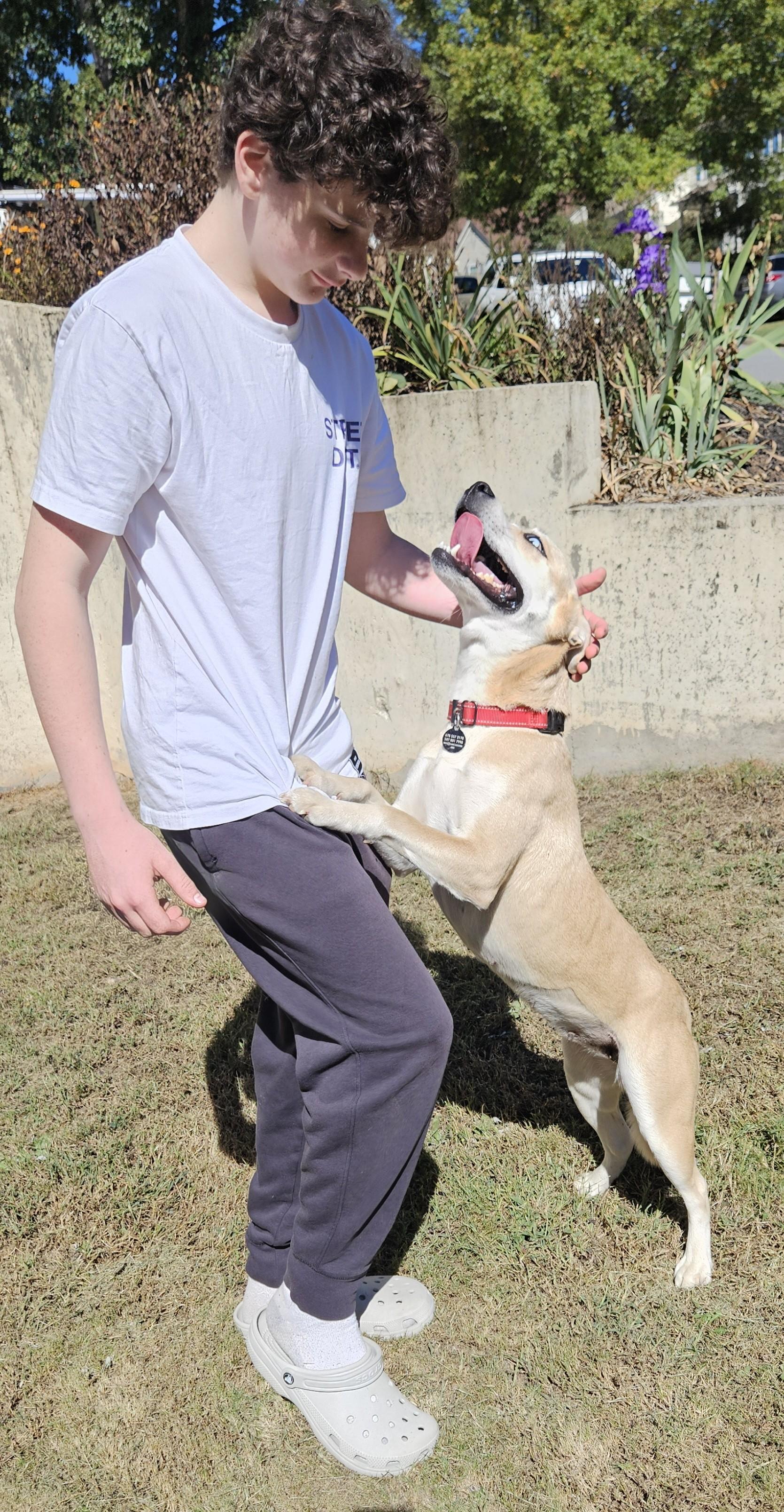 Birdie, a Adoptable mixed breed image 3/6