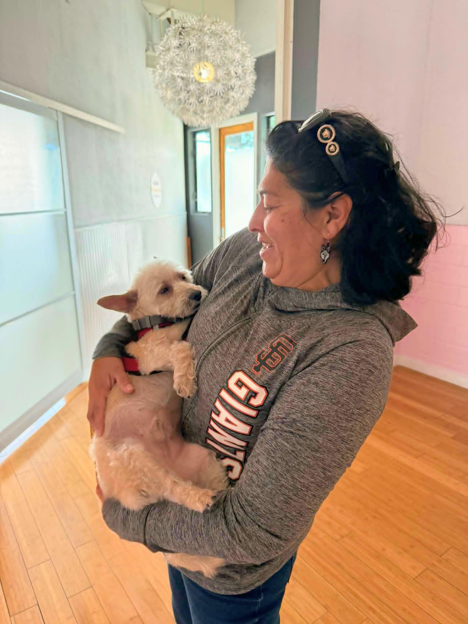 Enlarge Marshmellow, a Adoptable mixed breed in Napa, CA image 4/6