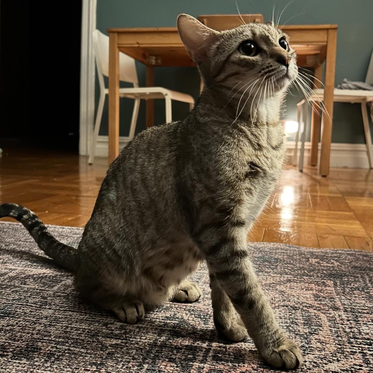 Margaret 4