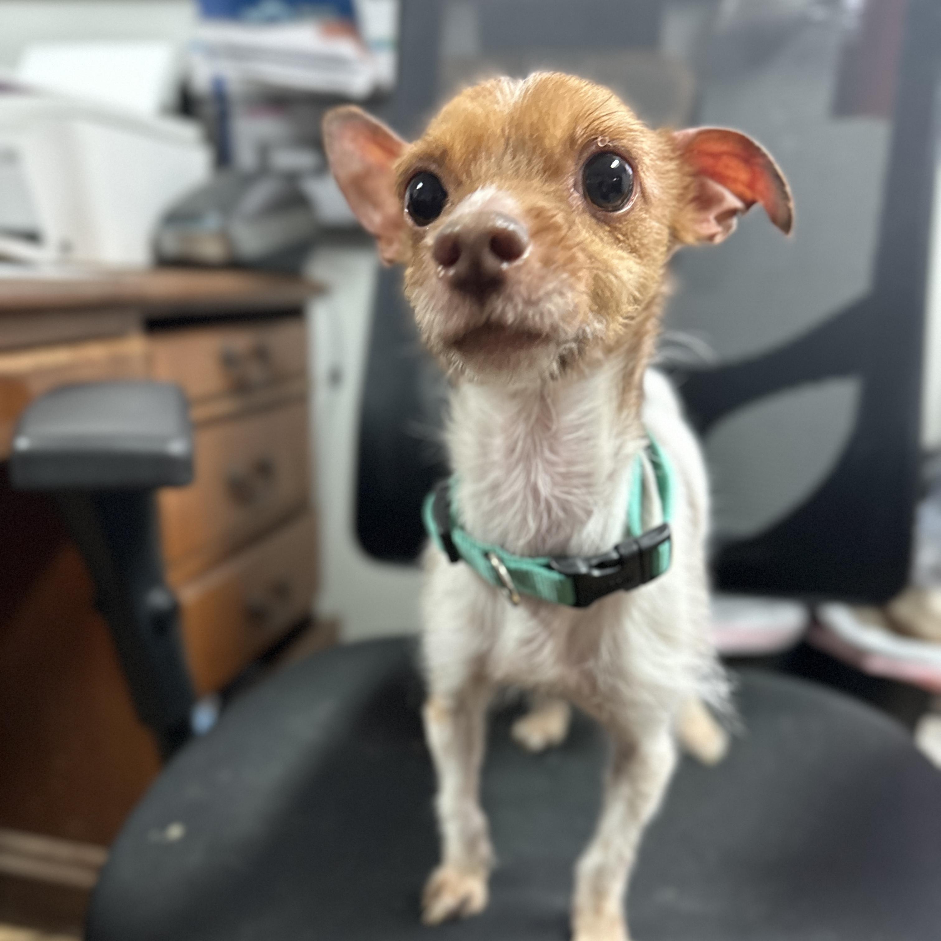 Zero — thumbnail 2