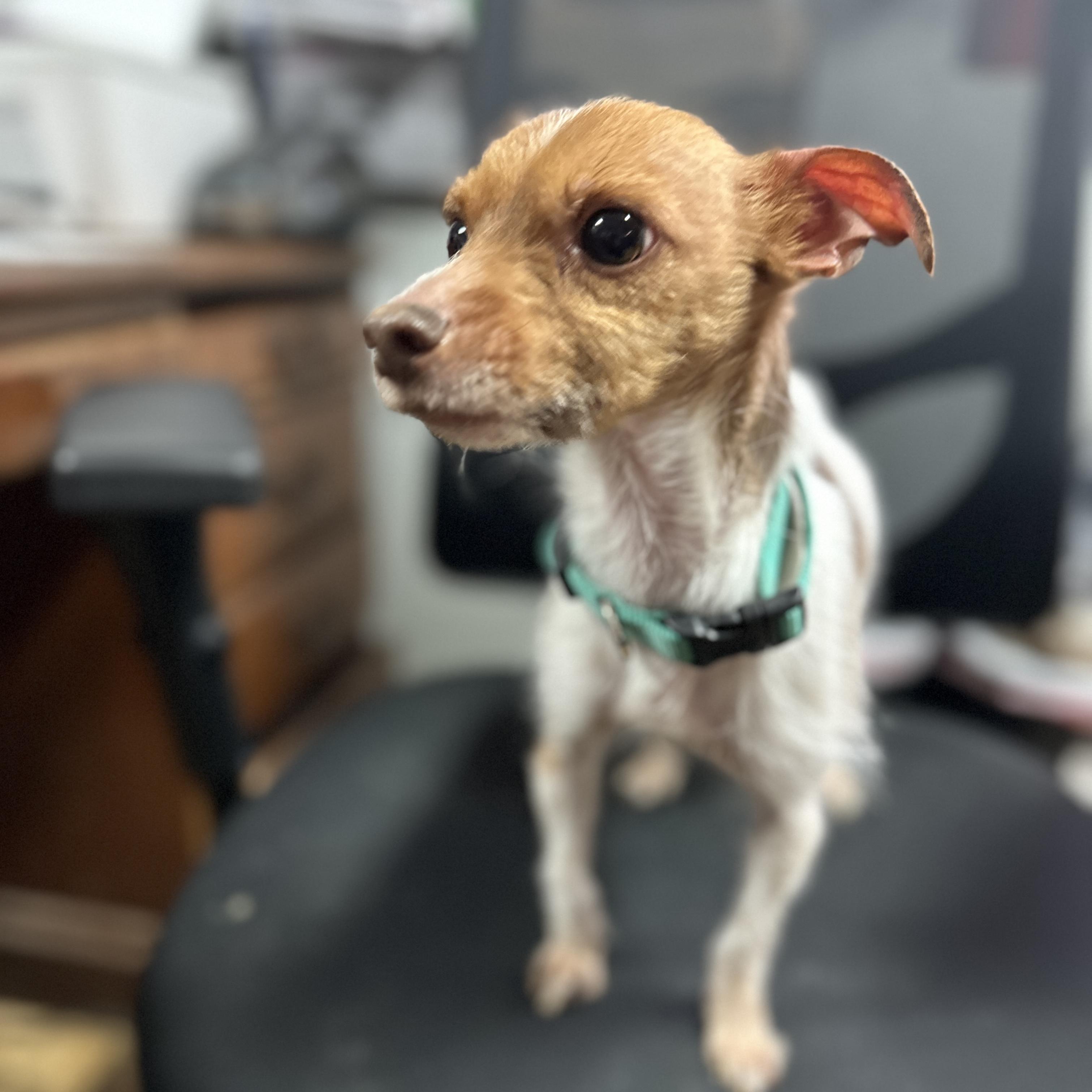 Zero — thumbnail 3