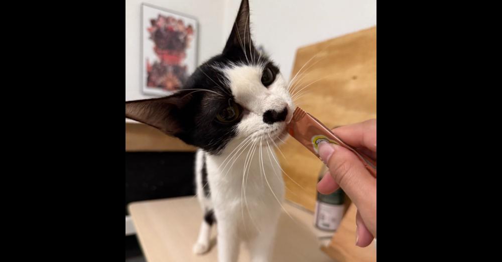 Betty — thumbnail 2