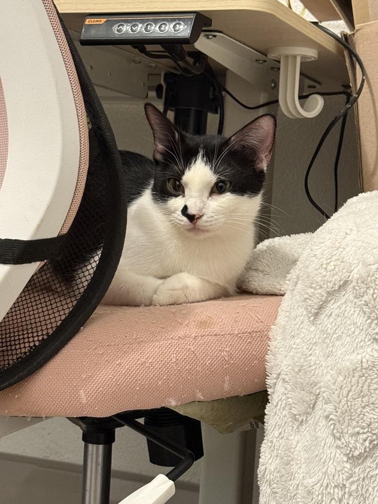 Betty — thumbnail 3