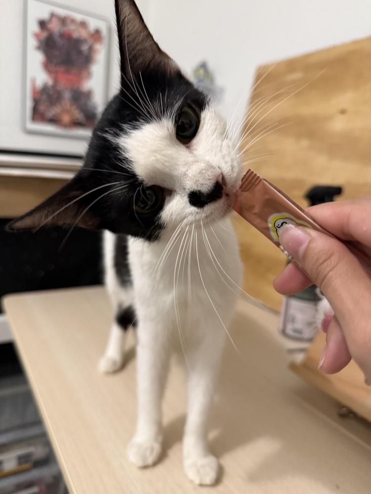 Betty — thumbnail 4