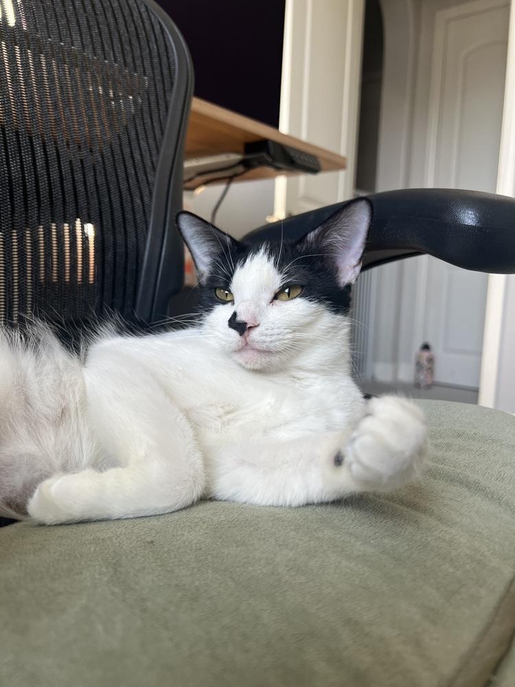 Betty — thumbnail 5