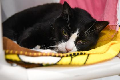 Smudge — thumbnail 3